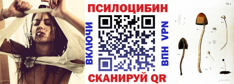 Галлюциногенные грибы Magic Shrooms  где можно купить наркотик  Выборг 
