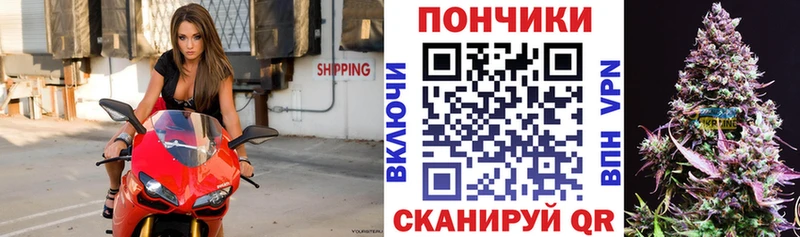 Бошки марихуана семена  мориарти наркотические препараты  Выборг 